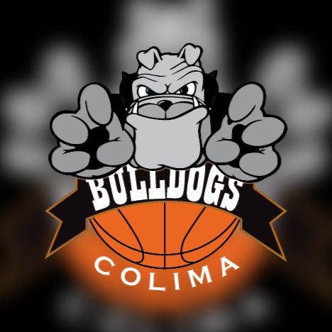 logotipo